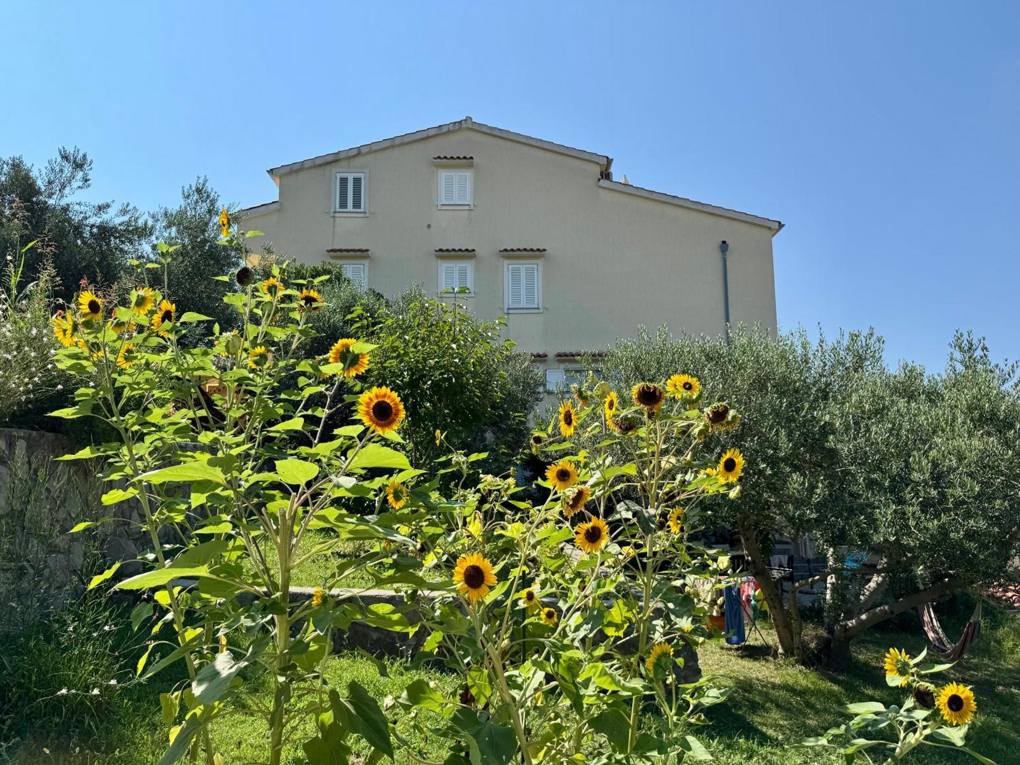 Apartments Maricic Banjol מראה חיצוני תמונה
